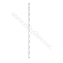 Montážna lišta pre konzoly " T " DMX - 2,0m - White