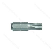 Hrot TORX,  25mm Hrot TORX,  25mm