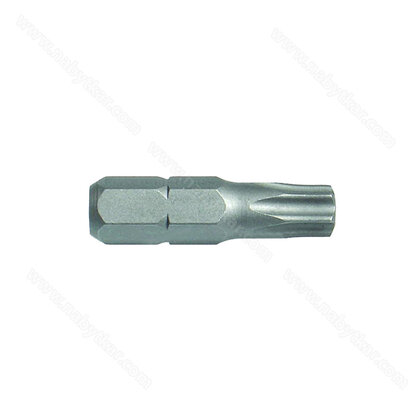 Hrot TORX,  25mm