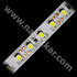 LED PAS 3528 bez kon.-IP20, 120LED/m 12V, š-8mm, L-5m, biela studena/CP