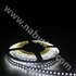 LED PAS 2835 bez kon.-IP20, 60LED/m 12V, š-8mm, L-5m,(1m=6W) biela studena/CP